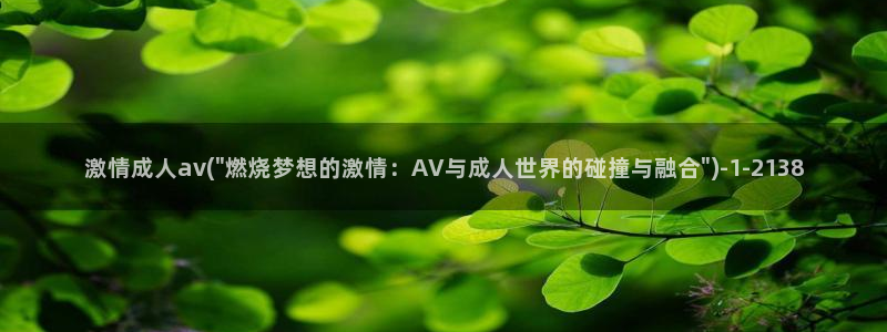 av视频播放器