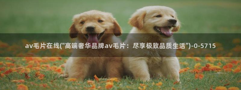 林志玲av