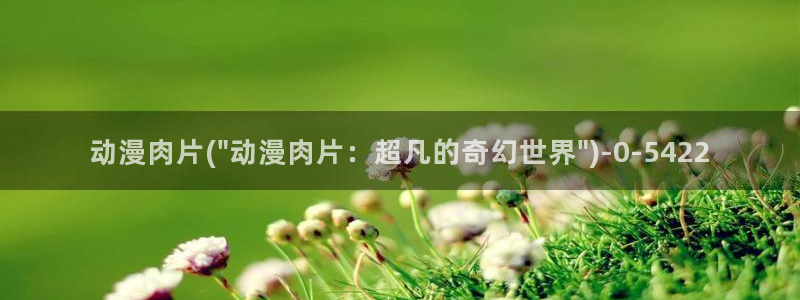动漫视频