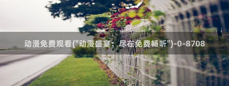 新世界动漫